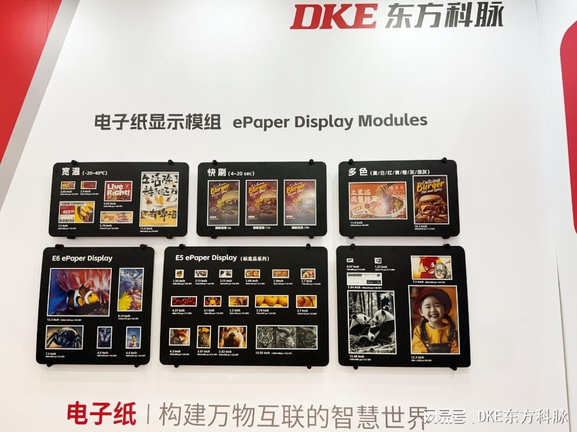 电子纸干了20年，终于轮到这公司排队上市了