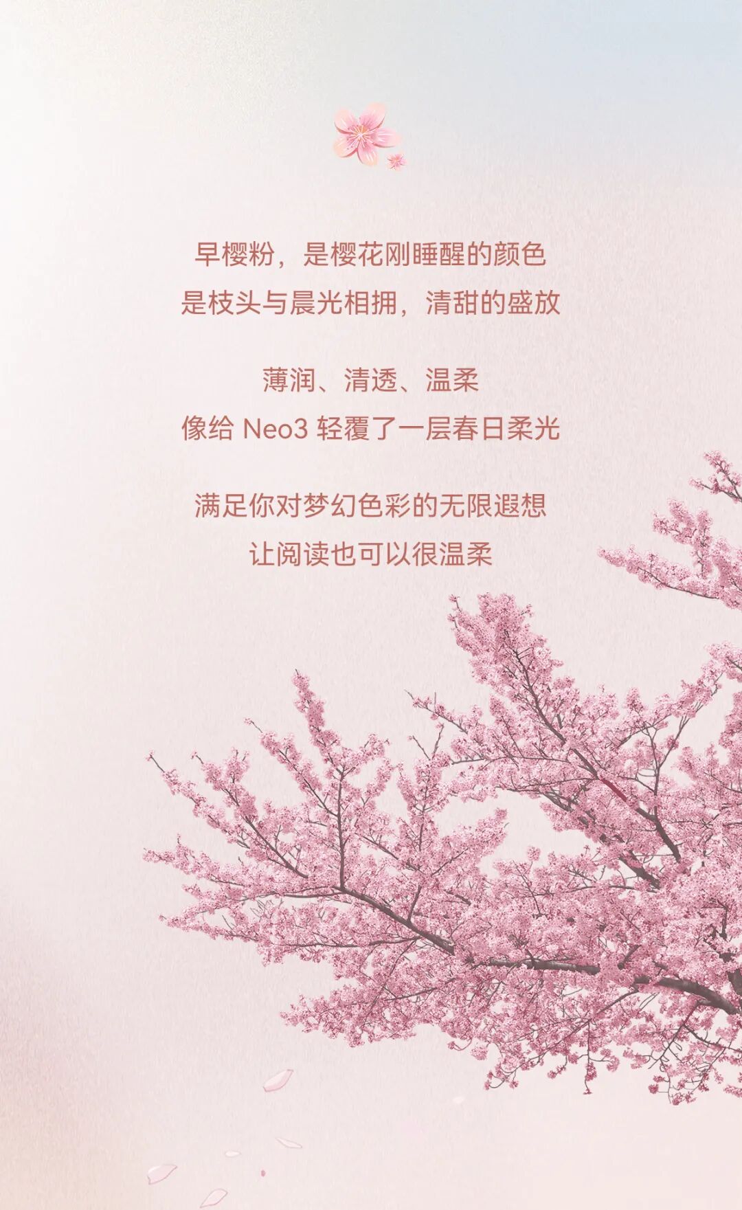 新色上市 | 早樱温柔，阅见春光