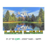 31.5” Spectra E6 QSPI-2560*1440-94PPI墨水屏