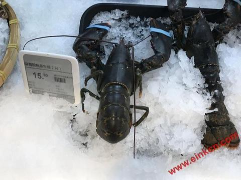 马云水族馆盒马鲜生半日游，发些带价签的图片，便宜还是贵？