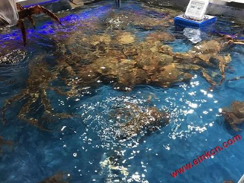 马云水族馆盒马鲜生半日游，发些带价签的图片，便宜还是贵？