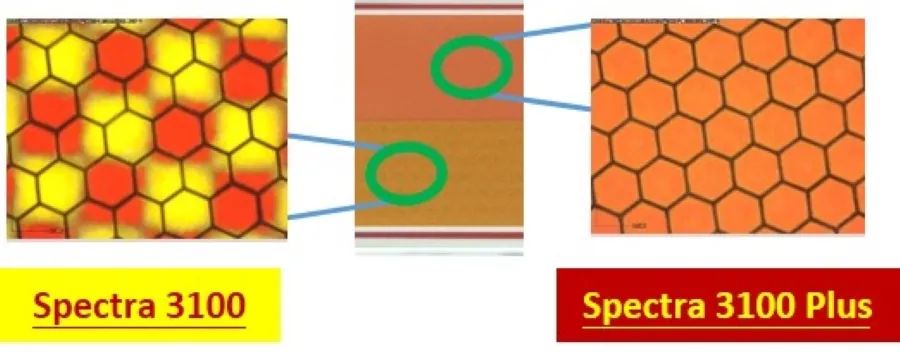 E Ink Spectra™ 3100 Plus电子纸标签将成零售场域新宠儿  Spectra 电子墨水 电子纸 电子墨水屏 EINK 墨水屏 eink 五色墨水屏 墨水屏抖点 黑白红黄橘 第3张