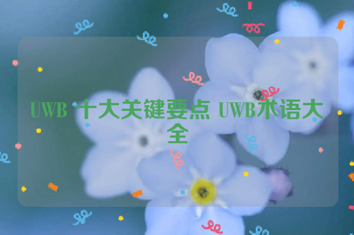 UWB 十大关键要点 UWB术语大全