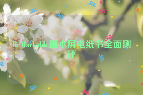 ReMarkable墨水屏电纸书全面测评